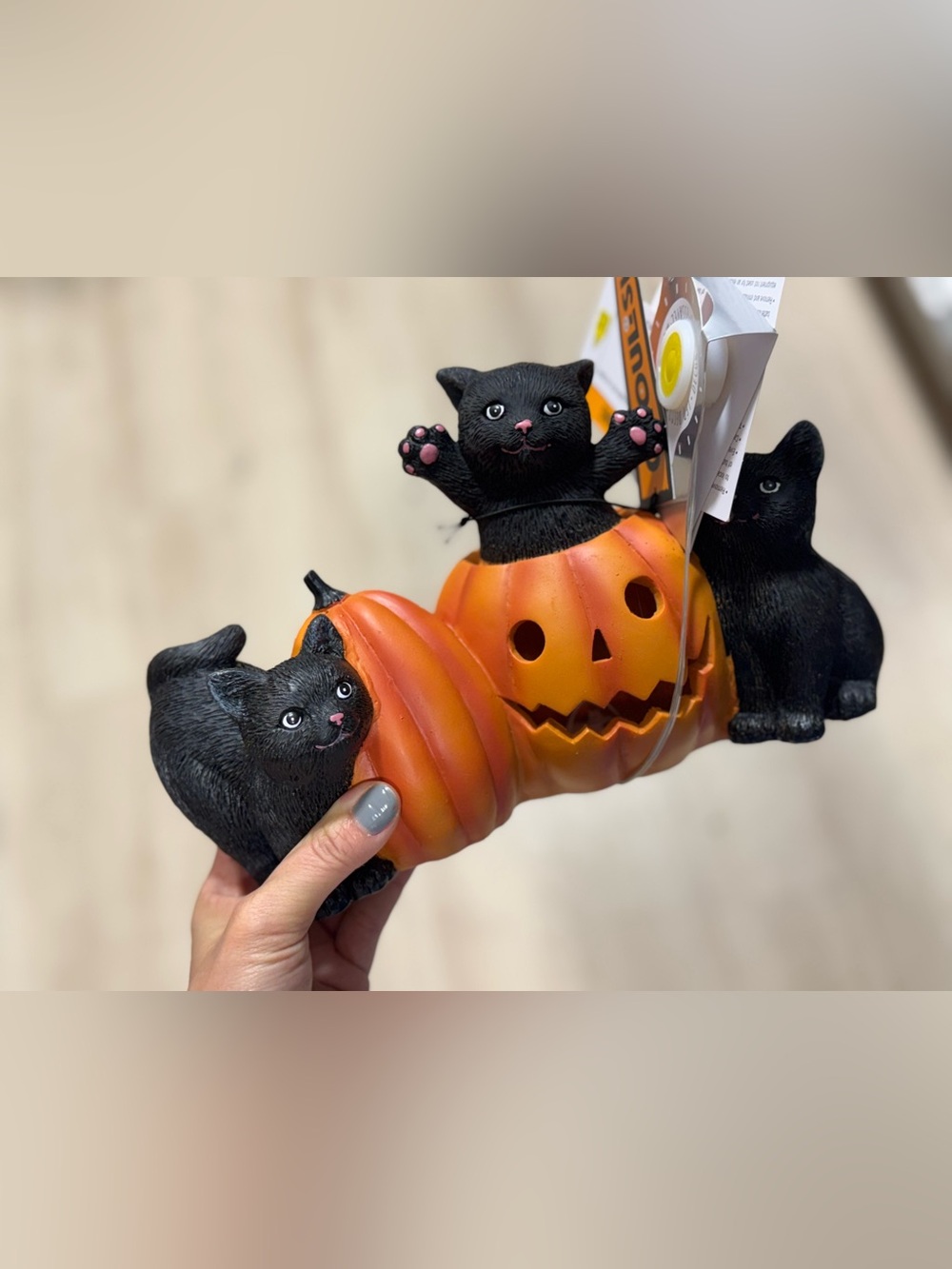 Black Cat in Pumpkin Halloween Pet Decoration - Orange/Black